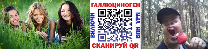 Галлюциногенные грибы Psilocybine cubensis  Тобольск 